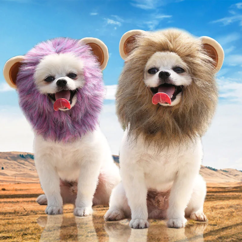 Lion turns into a pet hat for Halloween Cat Hat Velcro adjustable pet supplies autumn and winter
Lion turns into a pet hat for Halloween Cat Hat Velcro adjustable pet supplies autumn and winter