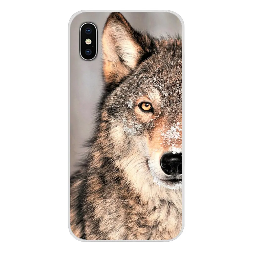 Для Apple iPhone X XR XS 11Pro MAX 4S 5C SE 6S 7 8 Plus ipod touch 5 6 angry snow wolf аксессуары чехлы для телефонов |