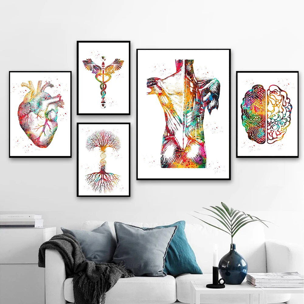 

Heart Print Skeleton Watercolour Art Canvas Poster Painting Lung Brain Anatomy Medicine Wall Print Clinic Medical Office Decor