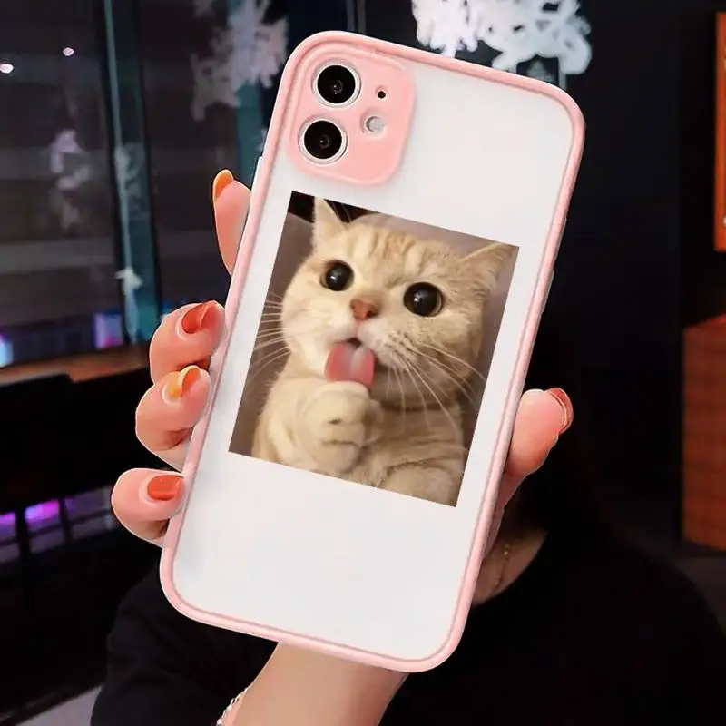 Cute Cat Phone Case Matte Transparent For iPhone 12 Mini 11 Pro XR XS Max 7 8 Plus
Cute Cat Phone Case Matte Transparent For iPhone 12 Mini 11 Pro XR XS Max 7 8 Plus