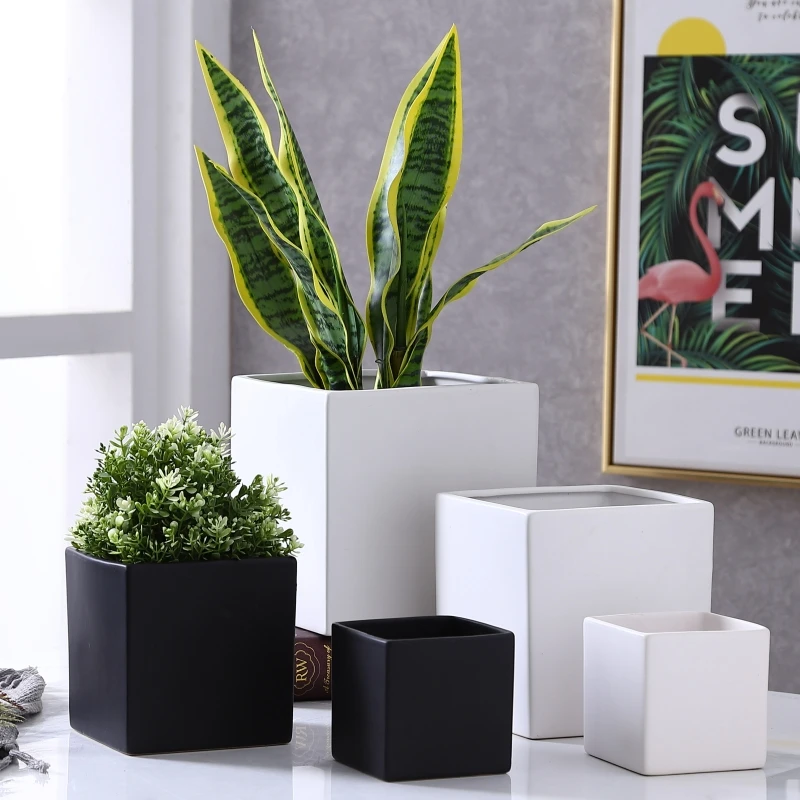 Modern ins ceramic flower pot black and white square shape flower pot hydroponic non-porous phalaenopsis pot green plant decor
Modern ins ceramic flower pot black and white square shape flower pot hydroponic non-porous phalaenopsis pot green plant decor