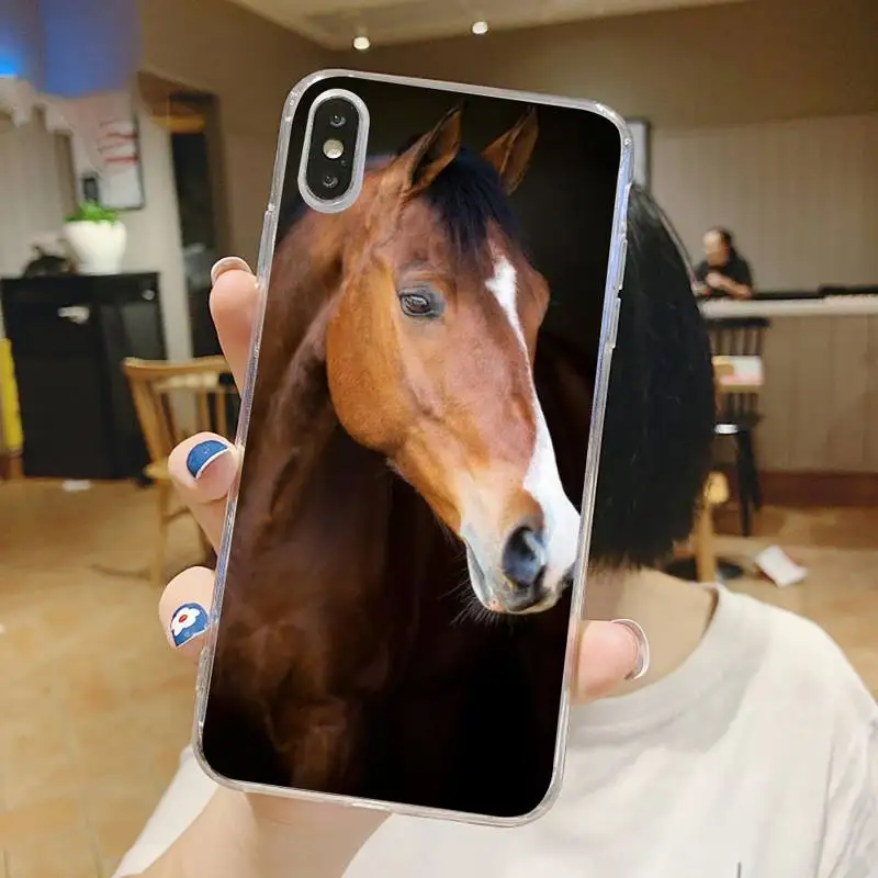 Frederik The Great beauty horse Phone Case Transparent soft For iphone 5 5s 5c se 6 6s 7 8 11 12 plus mini x xs xr pro max
Frederik The Great beauty horse Phone Case Transparent soft For iphone 5 5s 5c se 6 6s 7 8 11 12 plus mini x xs xr pro max