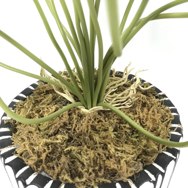 37cm 18 Heads Artificial Lotus Plants wedding decoration Green Leaves Plastic Tree Fake Bonsai Plants Real Touch Copper Leafs
37cm 18 Heads Artificial Lotus Plants wedding decoration Green Leaves Plastic Tree Fake Bonsai Plants Real Touch Copper Leafs