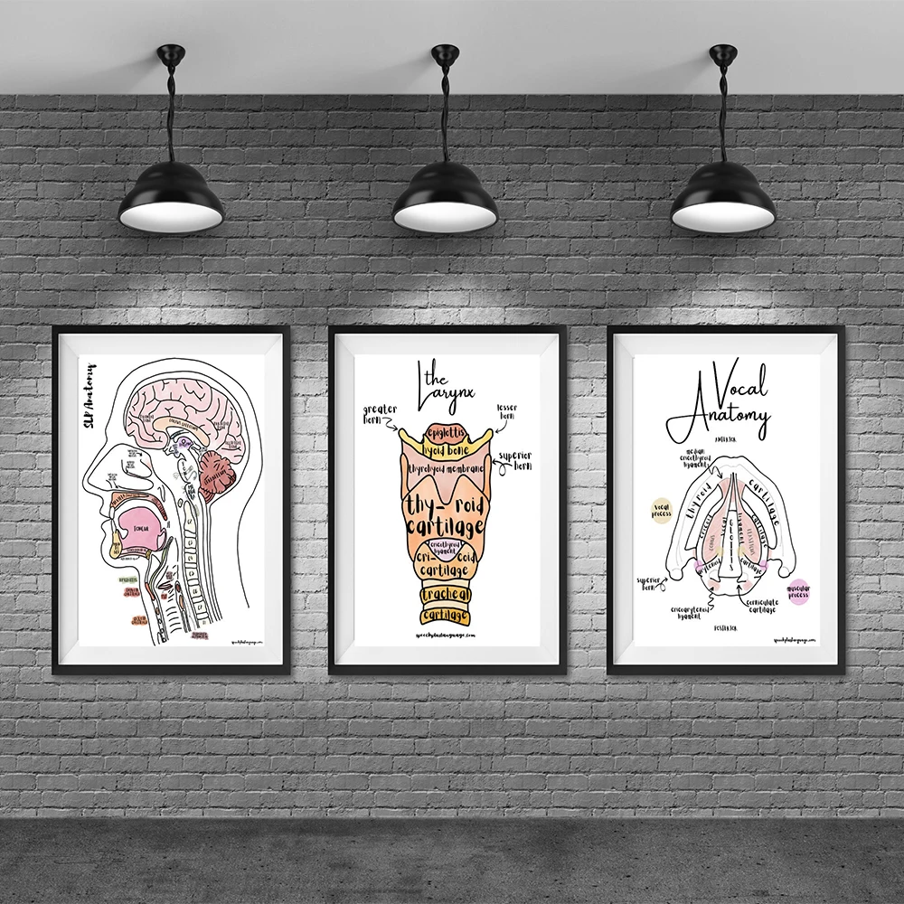 Живопись на холсте с изображением анатомии и физиологии, плакат в минималистическом стиле, Современная Настенная картина, домашний декор д...
Живопись на холсте с изображением анатомии и физиологии, плакат в минималистическом стиле, Современная Настенная картина, домашний декор д...