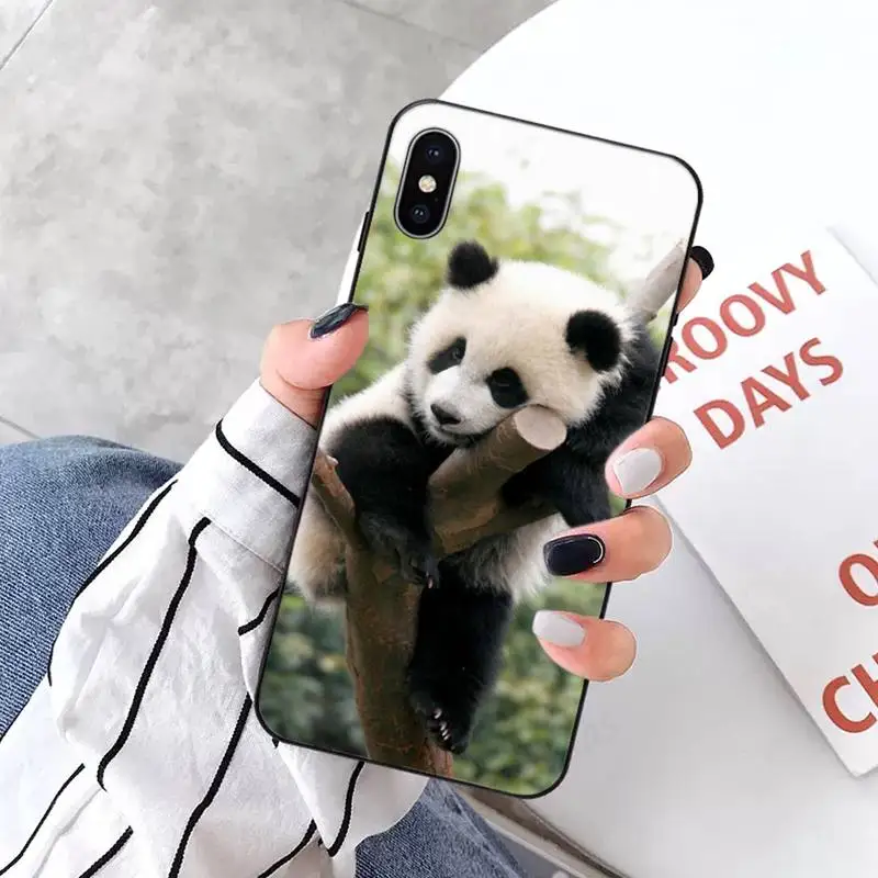 panda Phone Case for iPhone 11 12 pro XS MAX 8 7 6 6S Plus X 5S SE 2020 XR mini
panda Phone Case for iPhone 11 12 pro XS MAX 8 7 6 6S Plus X 5S SE 2020 XR mini