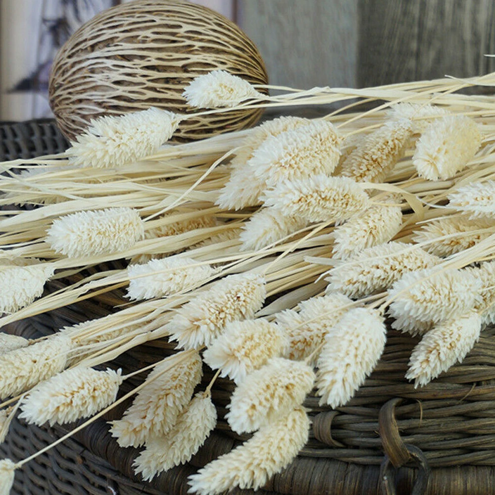 

20PCS Dried Flower Pampas Grass Bunch Wedding Bouquet DIY Decoration Natural Dried Flowers Artificial Plants Accessories