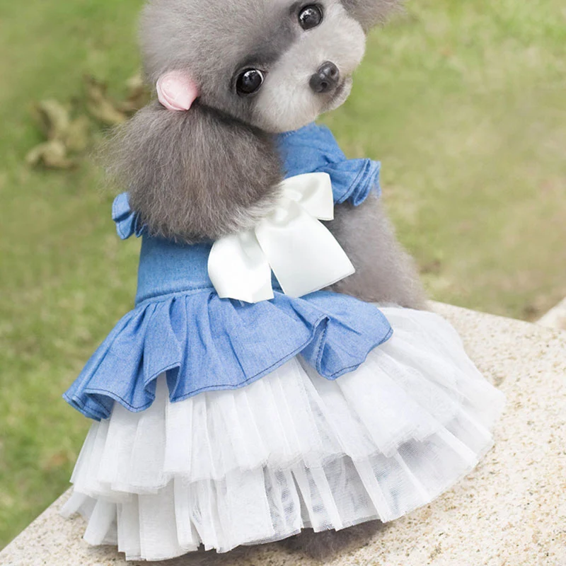 Lace Bow Dog Skirt Pet Clothes for Small Medium Dogs Puppy Dog Cat T-shirt Vest Casual Princess Dress Summer Cool Dog Outer Wear
Lace Bow Dog Skirt Pet Clothes for Small Medium Dogs Puppy Dog Cat T-shirt Vest Casual Princess Dress Summer Cool Dog Outer Wear