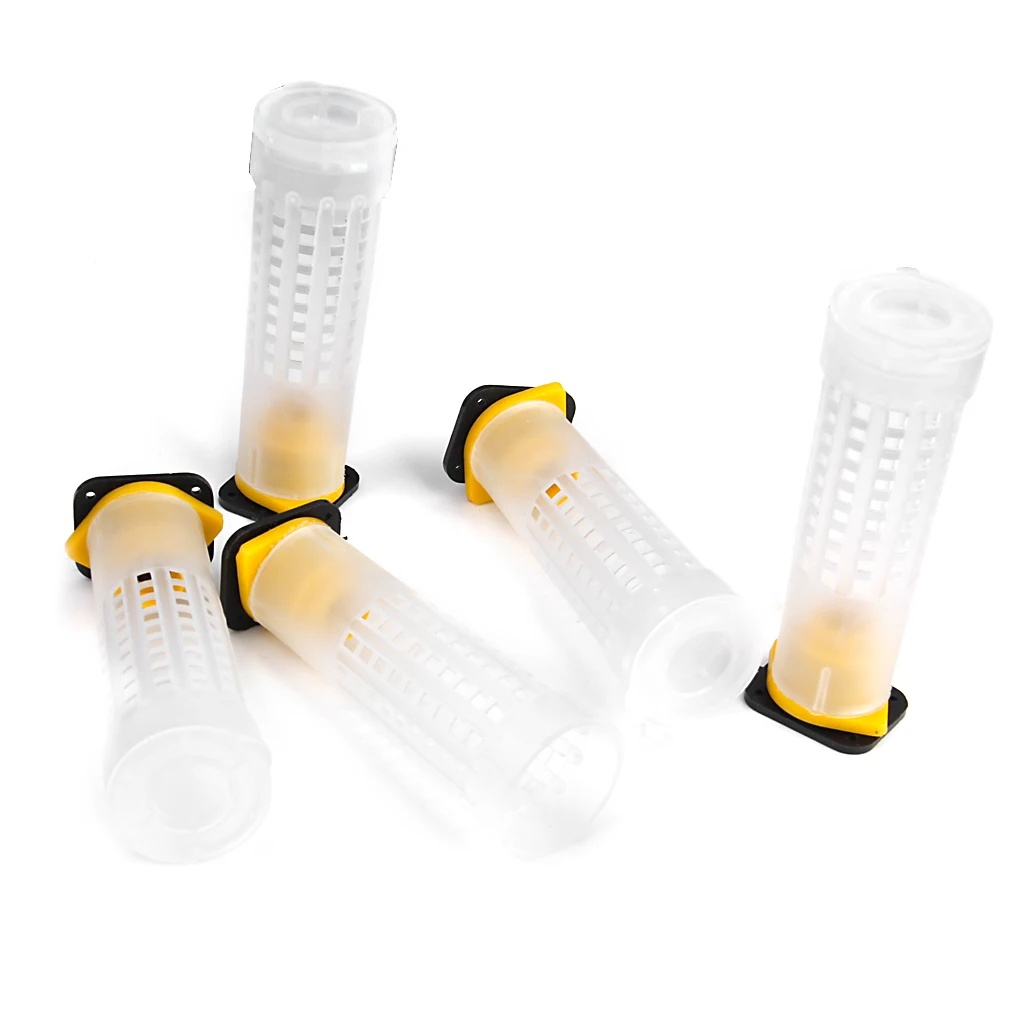 Набор для вывода пчеловодства, Кубок для маток, оборудование для пчеловодства 
Набор для вывода пчеловодства, Кубок для маток, оборудование для пчеловодства