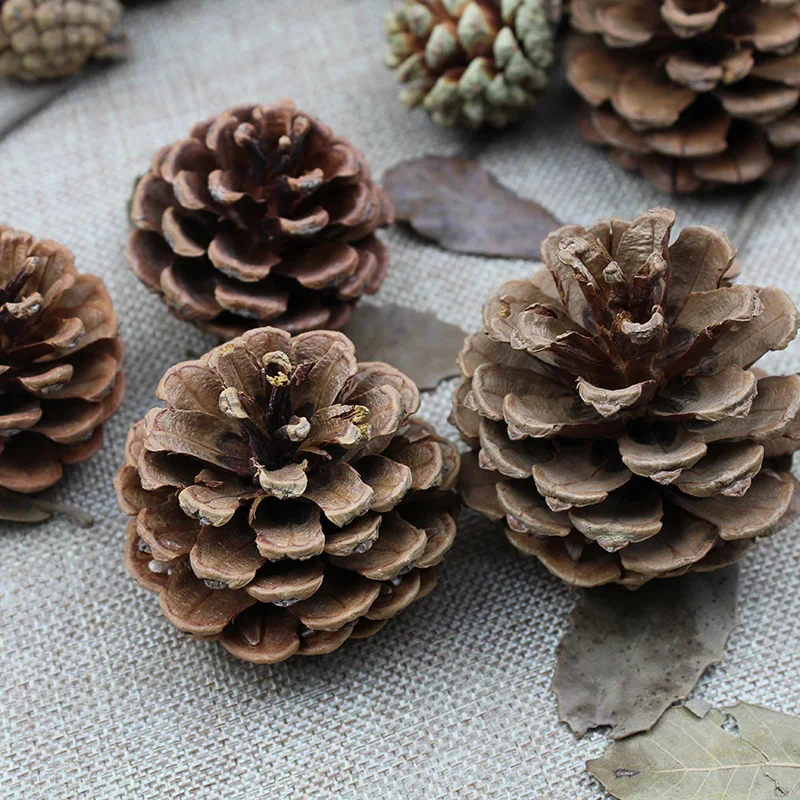 50pcs 3-6cm Pinecone Christmas Hanging Ornaments For Arrange Flower Xmas Tree Wedding Bridal Bouquet Table Hotal Bar Decoration
50pcs 3-6cm Pinecone Christmas Hanging Ornaments For Arrange Flower Xmas Tree Wedding Bridal Bouquet Table Hotal Bar Decoration