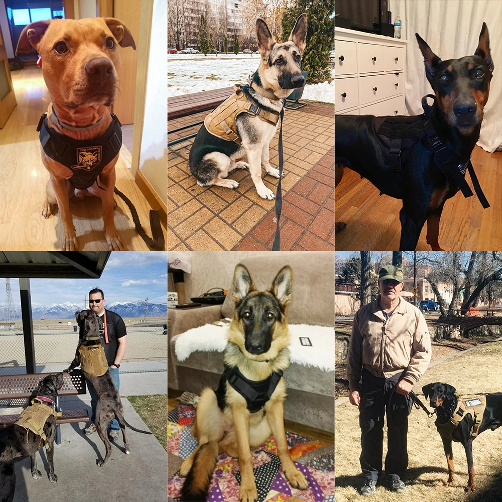 Tactical Dog Harness And Leash Set Metal Buckle Big Dog Vest German Shepherd Durable Pet Harness For Small Large Dogs Training
Tactical Dog Harness And Leash Set Metal Buckle Big Dog Vest German Shepherd Durable Pet Harness For Small Large Dogs Training
