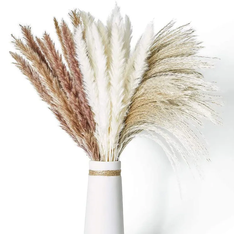 30Pcs Dried Flowers Pampas Grass Natural Plants Bouquet Lagurus Ovatus Flores Secas Wedding Home Easter Decoration Photo Props
30Pcs Dried Flowers Pampas Grass Natural Plants Bouquet Lagurus Ovatus Flores Secas Wedding Home Easter Decoration Photo Props