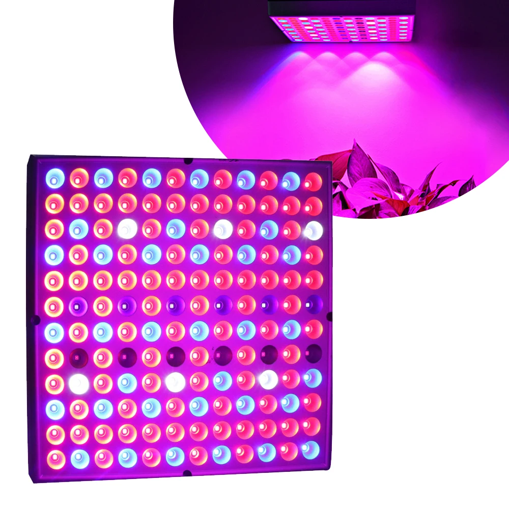 Hot 144LED Growth Lamp For Plants Led Grow Light Full Spectrum Phyto Lamp Hydroponic Indoor Light For Greenhouse Led Plant Grow
Hot 144LED Growth Lamp For Plants Led Grow Light Full Spectrum Phyto Lamp Hydroponic Indoor Light For Greenhouse Led Plant Grow