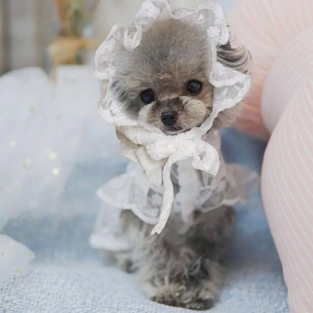 Pet Hat Breathable Polyester Good-looking Round Neck Puppy Lace Skirt For Dog Supplies White Solid Color Design Outing Hat
Pet Hat Breathable Polyester Good-looking Round Neck Puppy Lace Skirt For Dog Supplies White Solid Color Design Outing Hat
