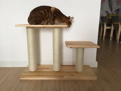 Solid Wood Cat Climbing Frame Pine Platform Cat Cat Furniture Small Cat Toy Shelf Platform
Solid Wood Cat Climbing Frame Pine Platform Cat Cat Furniture Small Cat Toy Shelf Platform