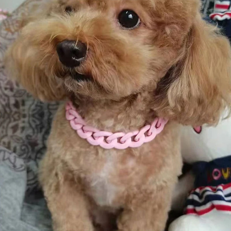 New Fashion Candy Colors Resin Chain Dog Necklace Cats Pet Accessories for Small Medium Large Dog Collar Jewelry Decoration York
New Fashion Candy Colors Resin Chain Dog Necklace Cats Pet Accessories for Small Medium Large Dog Collar Jewelry Decoration York