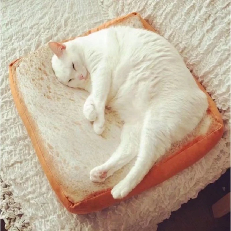Bread Cat Beds Soft Pet Sleeping Cushion Mat for Dog Cat House Kennel Mattress Creative Puppy Kitten Nest Pads Pet Accessories
Bread Cat Beds Soft Pet Sleeping Cushion Mat for Dog Cat House Kennel Mattress Creative Puppy Kitten Nest Pads Pet Accessories