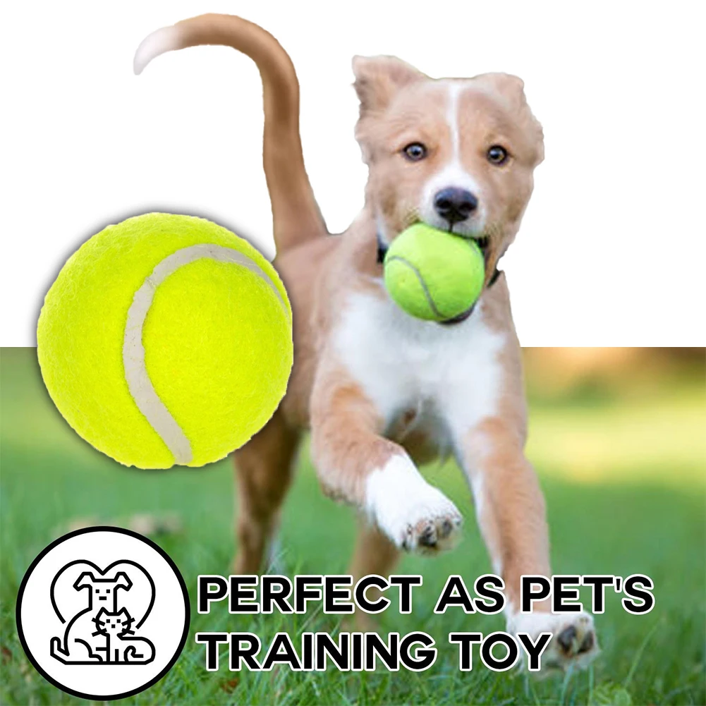 65mm dog tennis toy anti-bite chewing training product Teddy Golden Retriever interactive play ball dog accessories
65mm dog tennis toy anti-bite chewing training product Teddy Golden Retriever interactive play ball dog accessories