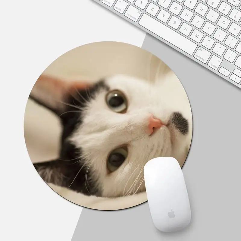 cute cat Gamer Speed Mice Retail Small Rubber Mousepad Protect Office Work Round Mouse Mat pad Non-slip Cushion
cute cat Gamer Speed Mice Retail Small Rubber Mousepad Protect Office Work Round Mouse Mat pad Non-slip Cushion