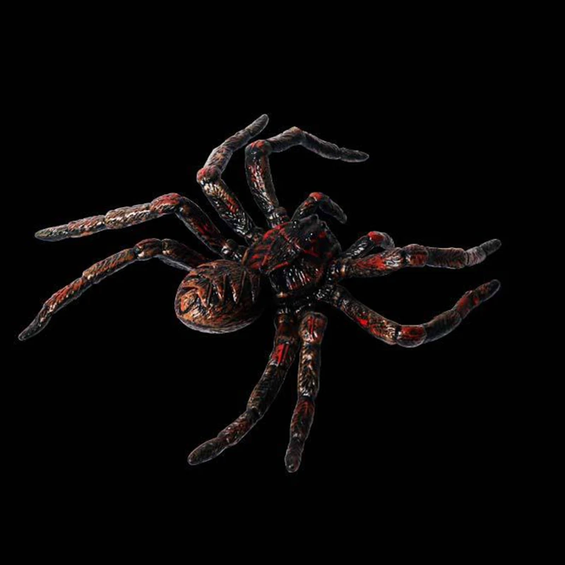 Tricky Spider Toy Simulation Insect Animal Model Spoof Scary Toys Adult Kids Home Decor Mini Doll Figure Kids Toy Gift New
Tricky Spider Toy Simulation Insect Animal Model Spoof Scary Toys Adult Kids Home Decor Mini Doll Figure Kids Toy Gift New
