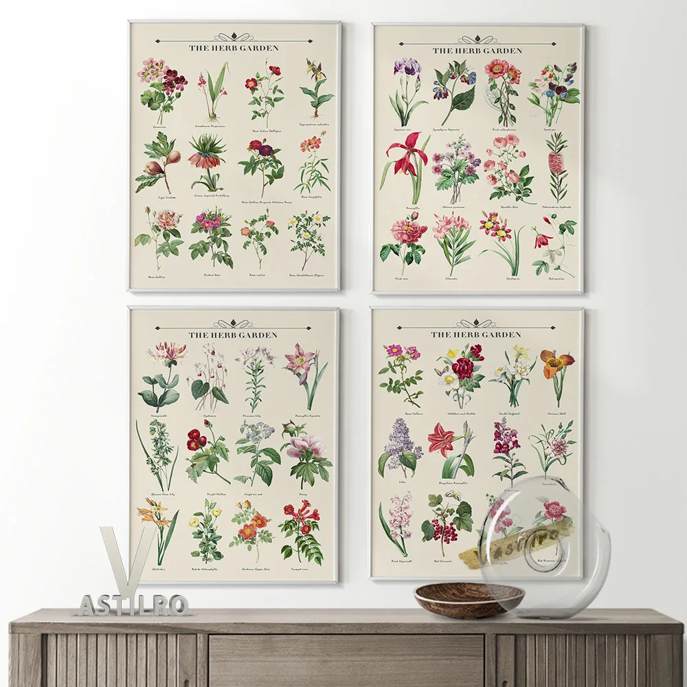 Minimalist Flowers Style Botanical Chart Printable Poster Art Prints Flower Shop Wall Decor Canvas Painting Room Home Decorate
Minimalist Flowers Style Botanical Chart Printable Poster Art Prints Flower Shop Wall Decor Canvas Painting Room Home Decorate