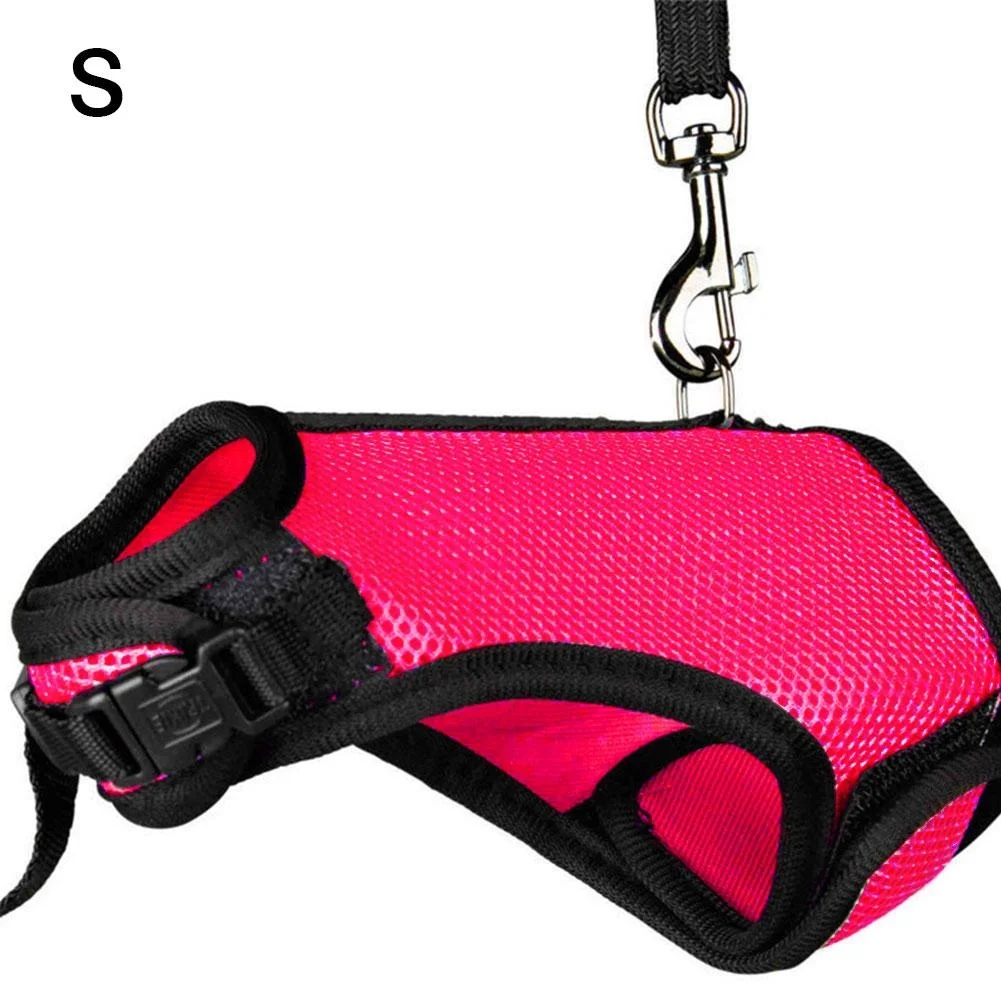 Rabbit Harness And Leash Set Small Animal Soft Vest Harness And Leash Set For Bunny Rabbit Kitten Small Animal Walking
Rabbit Harness And Leash Set Small Animal Soft Vest Harness And Leash Set For Bunny Rabbit Kitten Small Animal Walking