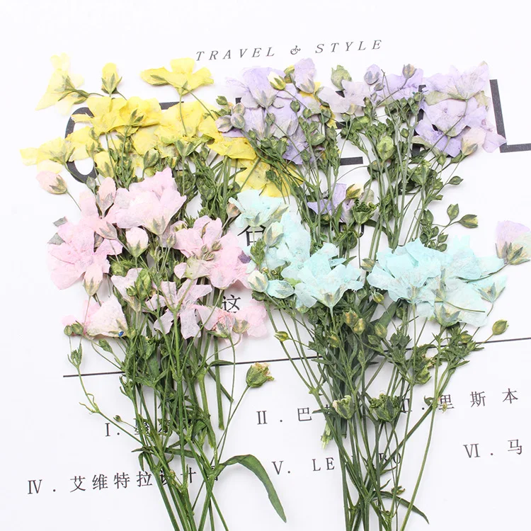 60pcs/6-9cm,Natural Pressed Babysbreath flowers,Gypsophila branch DIY Photo Frame Bookmark Gift Card Flores secas Jewelry decor
60pcs/6-9cm,Natural Pressed Babysbreath flowers,Gypsophila branch DIY Photo Frame Bookmark Gift Card Flores secas Jewelry decor