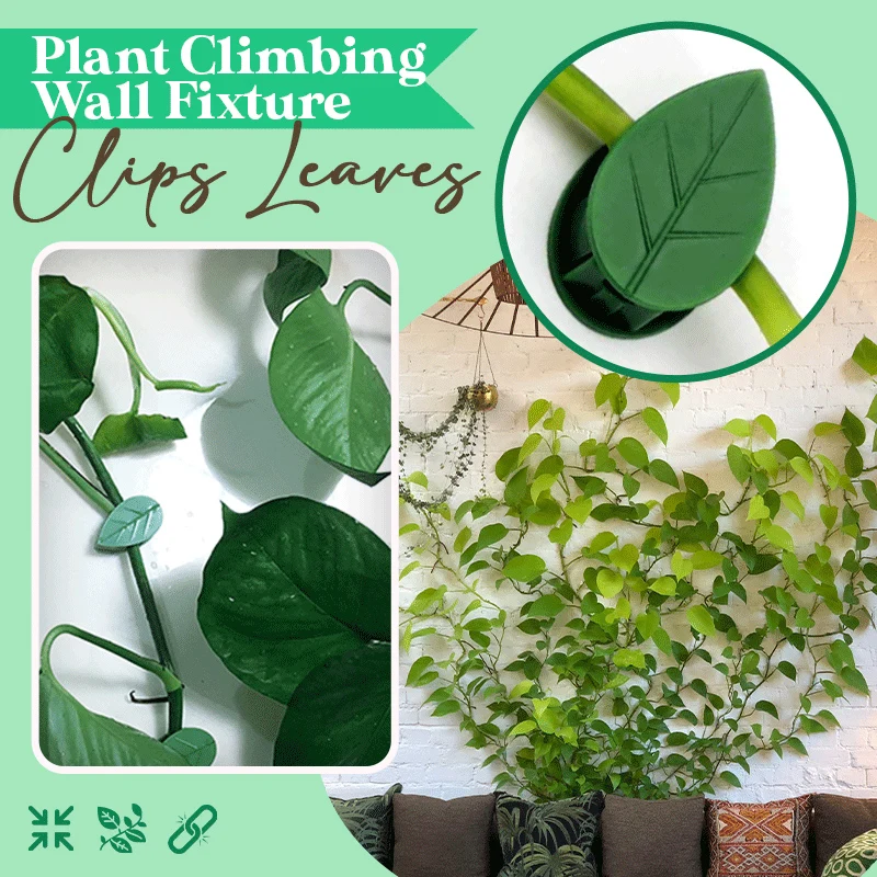 10 PCS Self-Adhesive Vine Fixed Clip Leaf Shape Cable Organizer Decorative Wire Clamp for Cord Home Office Planting K9Store
10 PCS Self-Adhesive Vine Fixed Clip Leaf Shape Cable Organizer Decorative Wire Clamp for Cord Home Office Planting K9Store