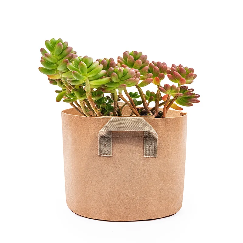 Plant Grow Bags Fruit Vegetable Potato Pot Planting Bag Home Garden PE Fabric Plants Growing Moisturizing
Plant Grow Bags Fruit Vegetable Potato Pot Planting Bag Home Garden PE Fabric Plants Growing Moisturizing
