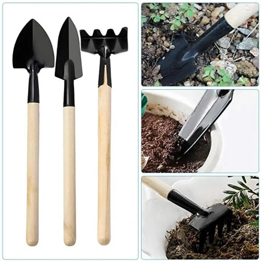 7/9/10/12/14/20/21 Piece Set Succulent Gardening Hand Tool Kits Reusable Rustproof Non-slip Home Gardening Bonsai Tools Kits
7/9/10/12/14/20/21 Piece Set Succulent Gardening Hand Tool Kits Reusable Rustproof Non-slip Home Gardening Bonsai Tools Kits
