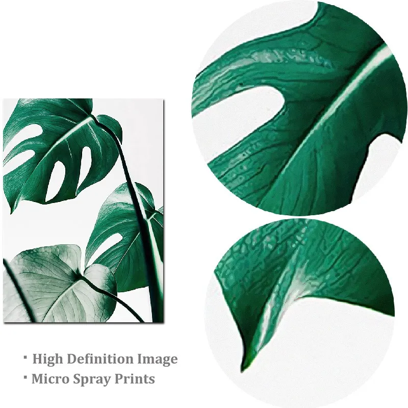 Nordic Modern Style Canvas Painting Plant Leaf Art Posters Prints Green Art Wall Pictures Living Room Home Decoration
Nordic Modern Style Canvas Painting Plant Leaf Art Posters Prints Green Art Wall Pictures Living Room Home Decoration