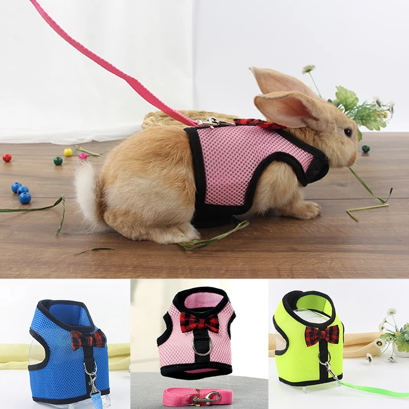 S M L Rabbit Leash Lead Vest Cute Small Animal Adjustable Harness Vest Walking Lead Leash For Puppy Dogs Cats With Bow Decor
S M L Rabbit Leash Lead Vest Cute Small Animal Adjustable Harness Vest Walking Lead Leash For Puppy Dogs Cats With Bow Decor
