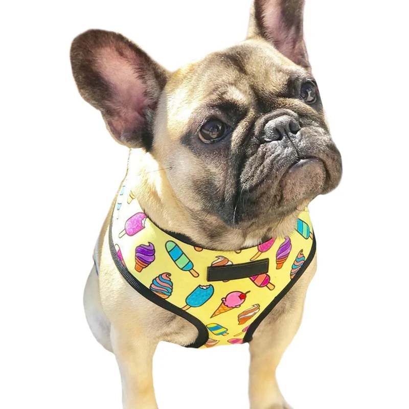 Шлейка для собак, французская шлейка для бульдога, двусторонняя шлейка для английских бульдогов с принтом, жилетка для щенков, для прогулок и тренировок
Шлейка для собак, французская шлейка для бульдога, двусторонняя шлейка для английских бульдогов с принтом, жилетка для щенков, для прогулок и тренировок