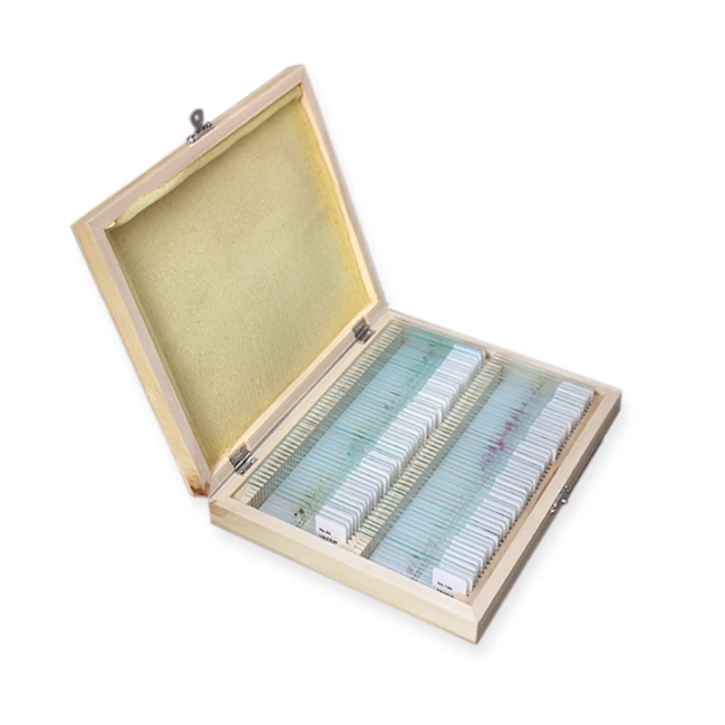 25/50/100 Pcs Prepared Premade Microscope Slides Set Basic Biological Science Education with Wooden Case
25/50/100 Pcs Prepared Premade Microscope Slides Set Basic Biological Science Education with Wooden Case
