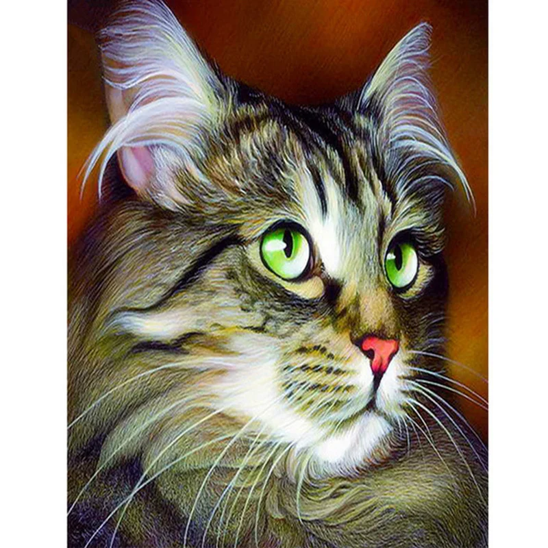 5d diamond painting full square / round diamond embroidery white cat diamond DIY mosaic home decoration
5d diamond painting full square / round diamond embroidery white cat diamond DIY mosaic home decoration