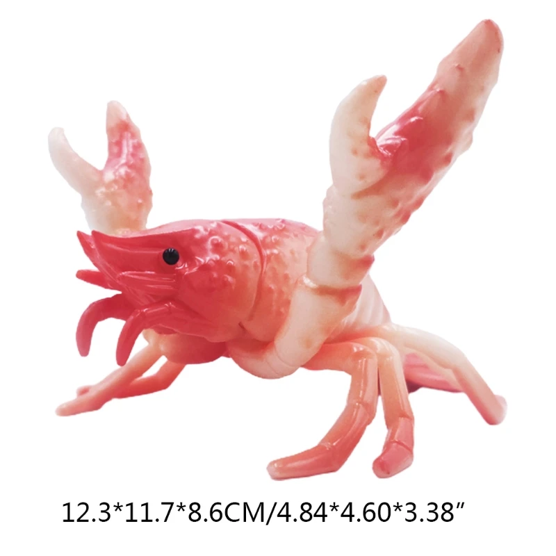 Japanese Creative Cute Lobster Pen Holder Weightlifting Lobster Penholder Bracket Storage Rack Stationery
Japanese Creative Cute Lobster Pen Holder Weightlifting Lobster Penholder Bracket Storage Rack Stationery