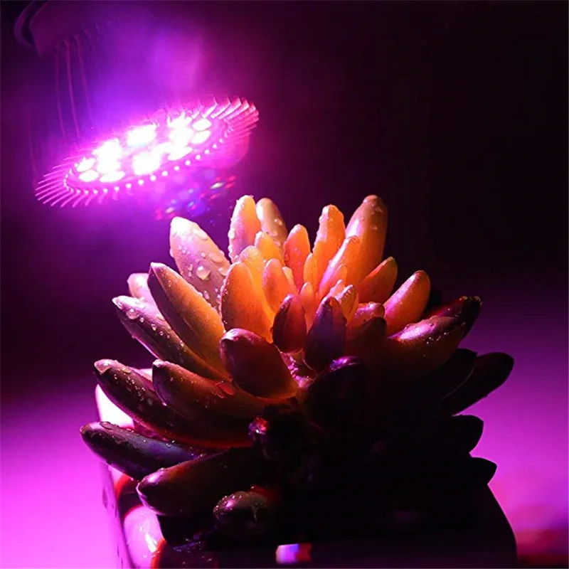 Full Spectrum SMD5730 18leds 28Led Grow Light E27 Plant GrowLights Bulb Garden Hydroponic Lamp for Indoor Hydroponics Flowers
Full Spectrum SMD5730 18leds 28Led Grow Light E27 Plant GrowLights Bulb Garden Hydroponic Lamp for Indoor Hydroponics Flowers
