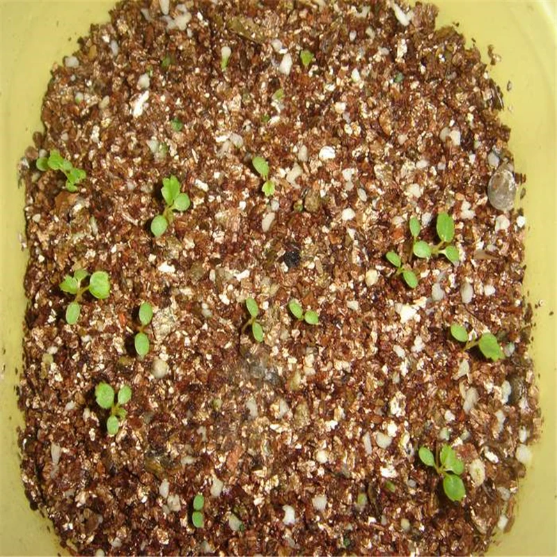 300Pcs Sweet Strawberry Seeds Bonsai Fruits Aromatic Bathroom Cabinet Natural Plants Garden Home Furniture PTS-04
300Pcs Sweet Strawberry Seeds Bonsai Fruits Aromatic Bathroom Cabinet Natural Plants Garden Home Furniture PTS-04