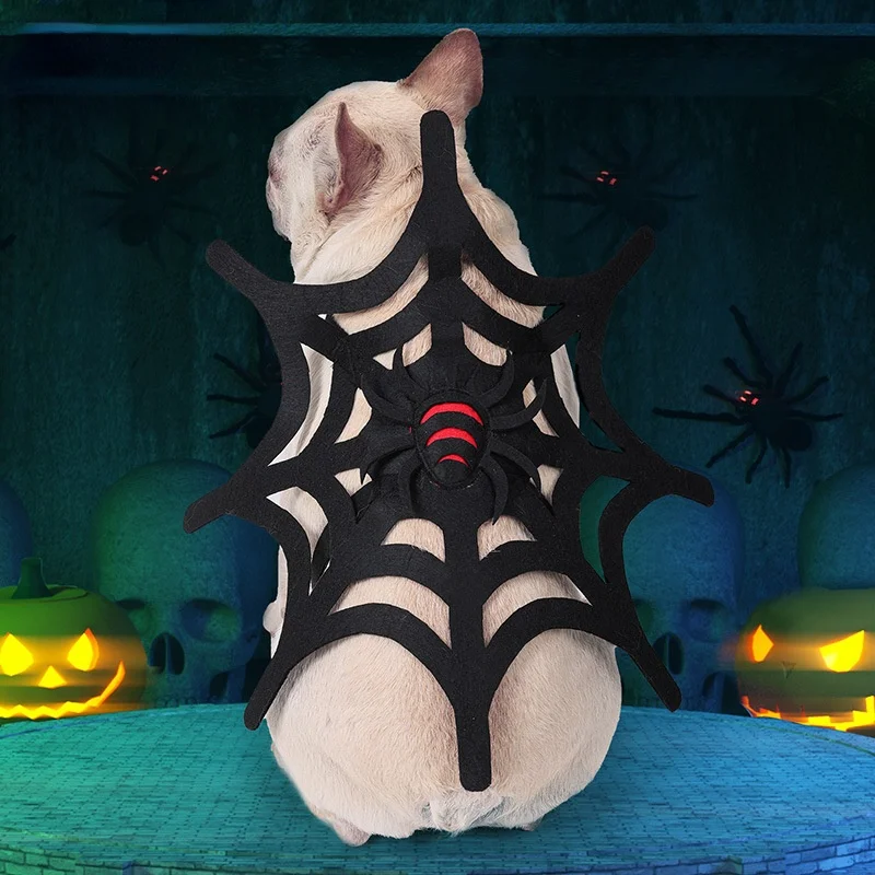 Dolomi Pet Spider Web аксессуары для домашних животных праздничный Забавный костюм собаки кошки Хэллоуин украшение-трансформер
Dolomi Pet Spider Web аксессуары для домашних животных праздничный Забавный костюм собаки кошки Хэллоуин украшение-трансформер
