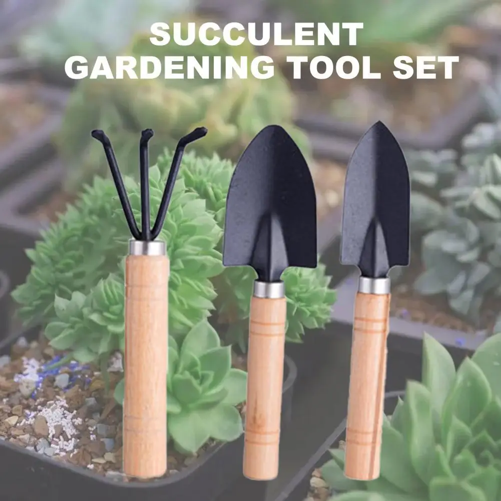 10Pcs Portable Gardening Tools Set Succulent Planting Tools Durable Hand Garden Tools with Storage Bag for Garden DIY Tools
10Pcs Portable Gardening Tools Set Succulent Planting Tools Durable Hand Garden Tools with Storage Bag for Garden DIY Tools