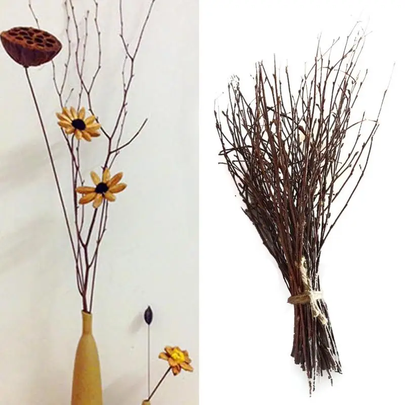 Natural Birch Branch Dried Flower Twigs Spray Plant Bundle Adding Valentine Day Artistic Atmospheres Decoration
Natural Birch Branch Dried Flower Twigs Spray Plant Bundle Adding Valentine Day Artistic Atmospheres Decoration