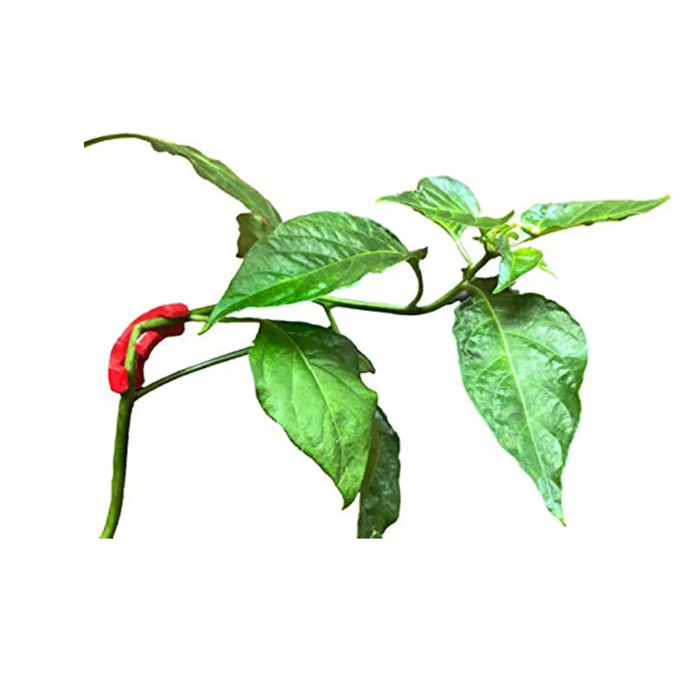 5/10pcs 90 Degree Plant Bender Elbows Clips For Low Stress Training And Plant Training Plant Bender Plant Aid
5/10pcs 90 Degree Plant Bender Elbows Clips For Low Stress Training And Plant Training Plant Bender Plant Aid