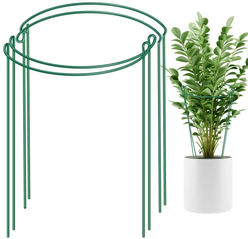 10 Pack Metal Garden Plant Support Stake Half Round Plant Support Ring Plant Cage Plant Support for Tomato Rose Vine
10 Pack Metal Garden Plant Support Stake Half Round Plant Support Ring Plant Cage Plant Support for Tomato Rose Vine