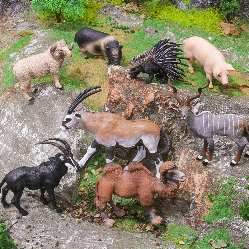 Children Solid Simulation Safari Model Toy Alpaca Camel Goat Antelope Model Educational Supply for Kindergarten Child Christmas
Children Solid Simulation Safari Model Toy Alpaca Camel Goat Antelope Model Educational Supply for Kindergarten Child Christmas