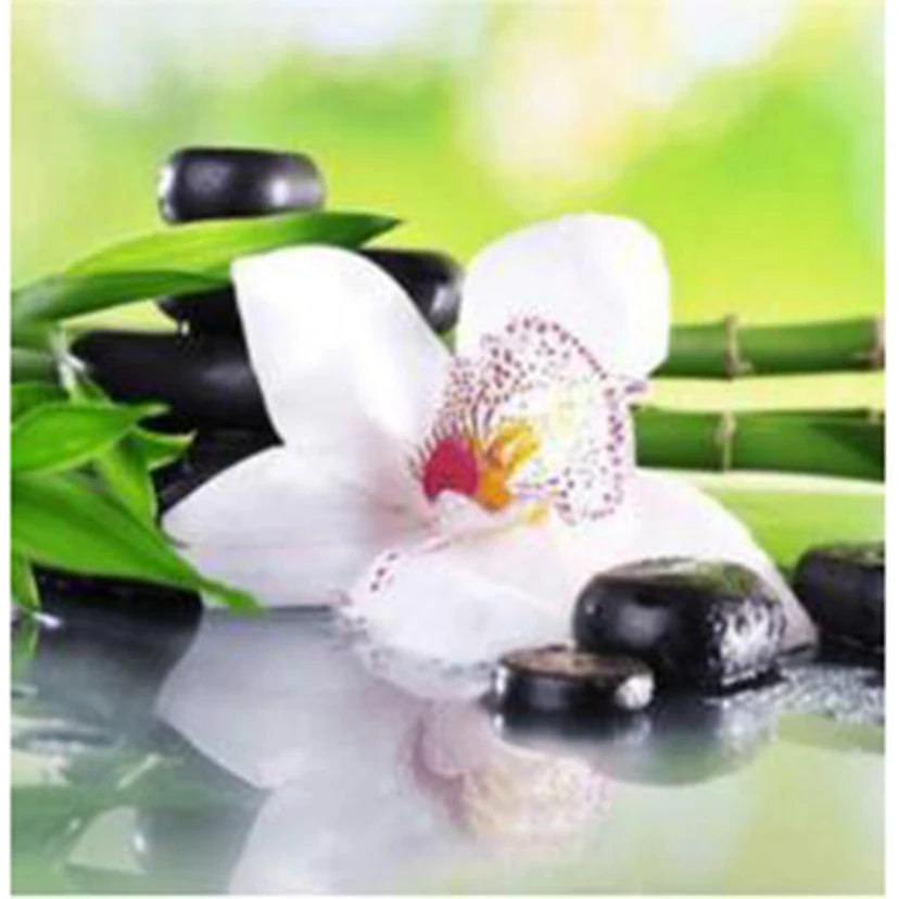 Diamond Painting 5D DIY Square/Round Diamond Flower Painting Bamboo Forest White Flower Beautiful Picture Cross Stitch Art TX603
Diamond Painting 5D DIY Square/Round Diamond Flower Painting Bamboo Forest White Flower Beautiful Picture Cross Stitch Art TX603