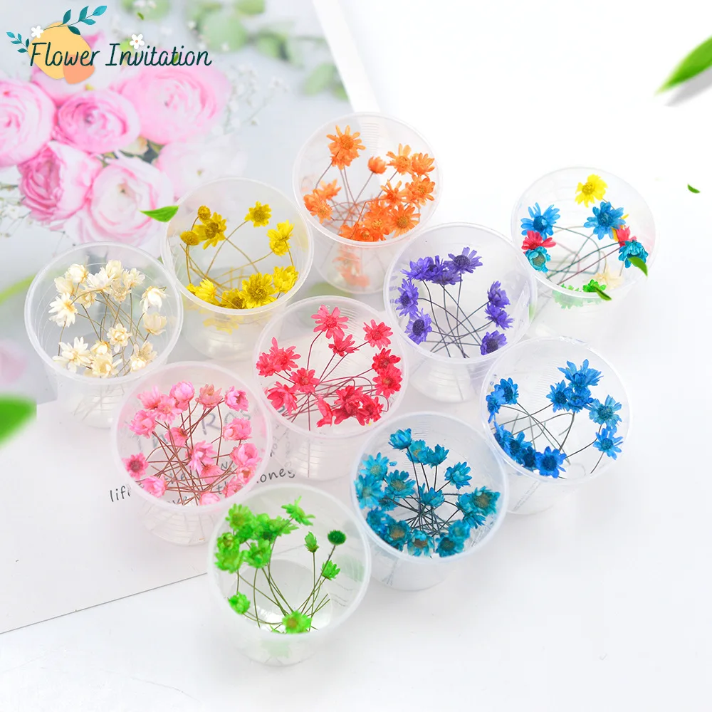 10 pcs / box Natural Dried Flower Dry Plants For Aromatherapy Candle Epoxy Resin Pendant Necklace Jewelry Making Craft DIY Decor
10 pcs / box Natural Dried Flower Dry Plants For Aromatherapy Candle Epoxy Resin Pendant Necklace Jewelry Making Craft DIY Decor