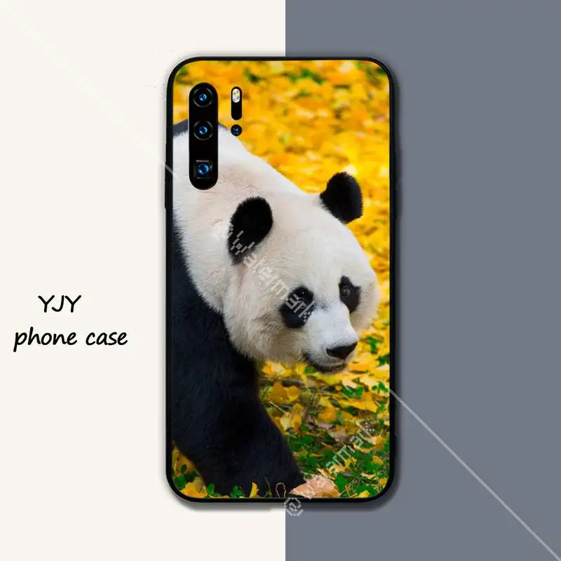 Panda flower art illustration Silicone case coque for Huawei P9 lite 2016 2017 P 10 P20 PRO P30 P40 lite P smart 2019 cover
Panda flower art illustration Silicone case coque for Huawei P9 lite 2016 2017 P 10 P20 PRO P30 P40 lite P smart 2019 cover