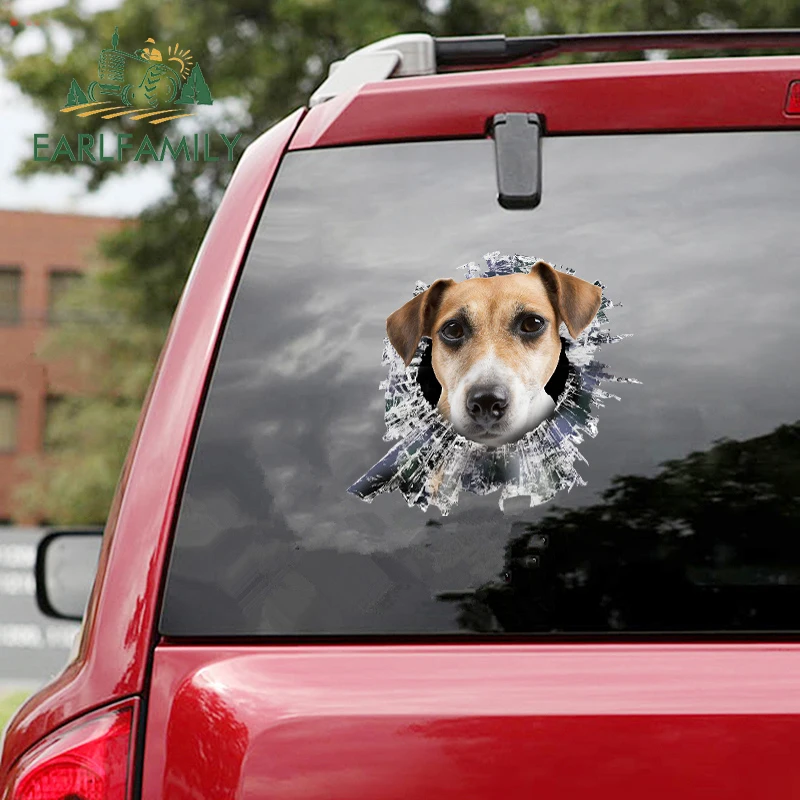 EARLFAMILY 13cm x 11.9cm for Jack Russell Terrier Car Accessoires Stickers Motorcycle Decal Funny Vinyl Caravan Windows Decals
EARLFAMILY 13cm x 11.9cm for Jack Russell Terrier Car Accessoires Stickers Motorcycle Decal Funny Vinyl Caravan Windows Decals