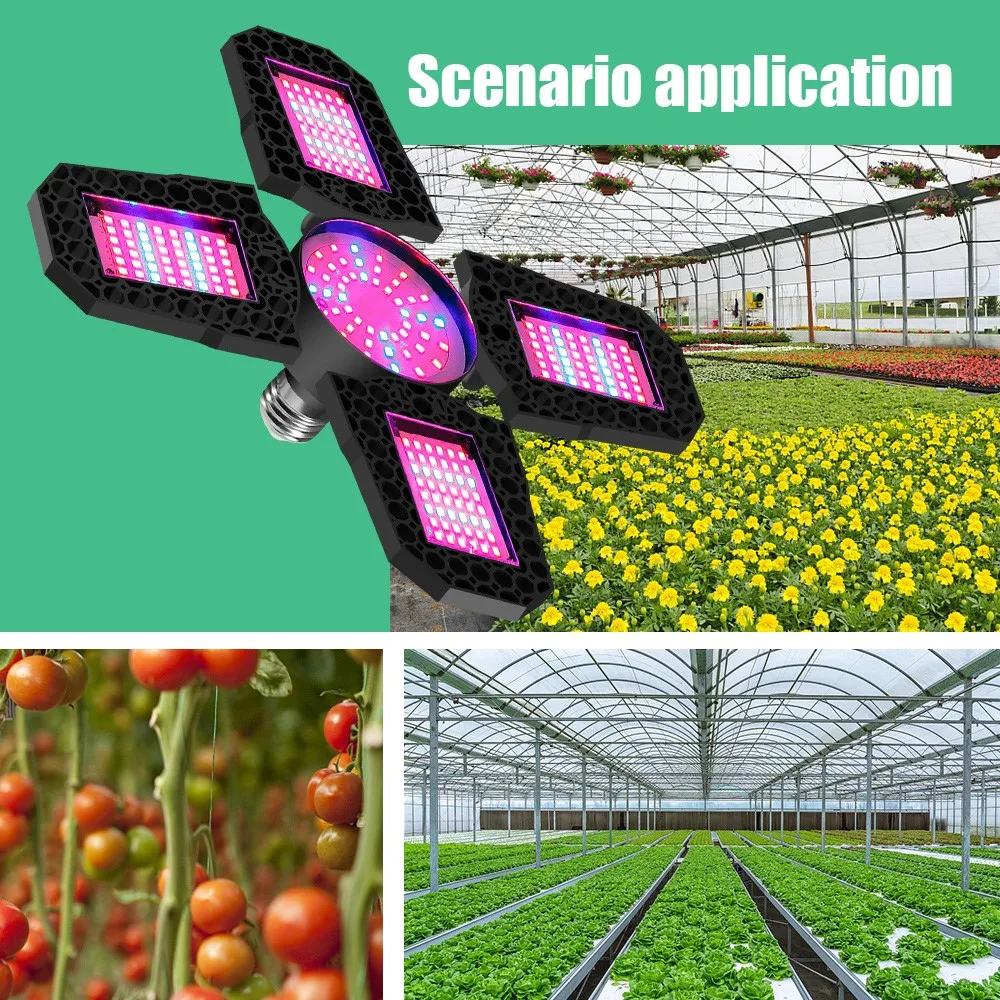 LED Grow Light E27 Red Blue Spectrum Growth Bulb 100/120/150W Indoor 90 Degrees Deformable Growing Light For Plants
LED Grow Light E27 Red Blue Spectrum Growth Bulb 100/120/150W Indoor 90 Degrees Deformable Growing Light For Plants