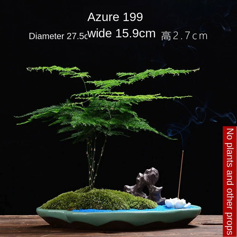 Creative Green Plant Bonsai Flower Pot Ceramic Extra Large Indoor Balcony Micro Landscape Oval Potted Rockery Bonsai Pot
Creative Green Plant Bonsai Flower Pot Ceramic Extra Large Indoor Balcony Micro Landscape Oval Potted Rockery Bonsai Pot