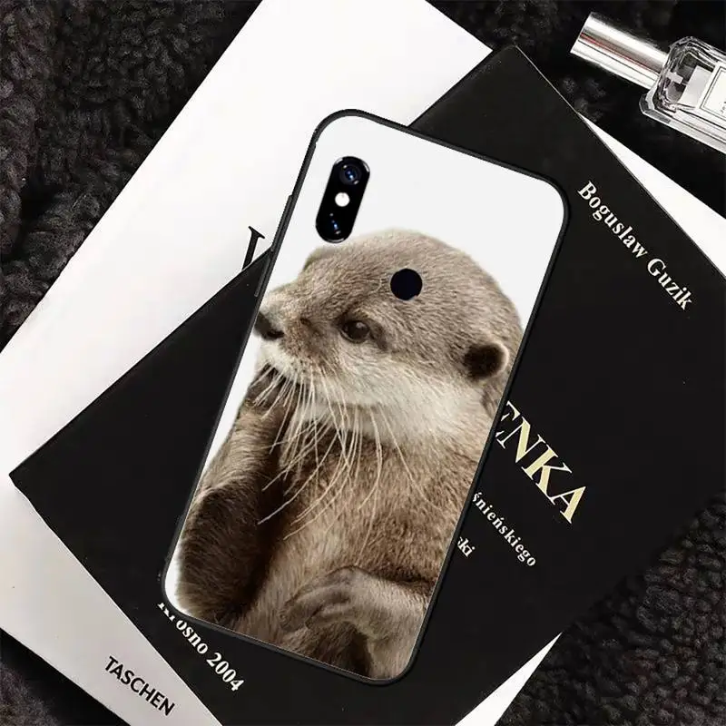 Animal otter Phone Case For Xiaomi Redmi 7 8 9t a3Pro 9se k20 mi8 max3 lite 9 note 9s 10 pro
Animal otter Phone Case For Xiaomi Redmi 7 8 9t a3Pro 9se k20 mi8 max3 lite 9 note 9s 10 pro